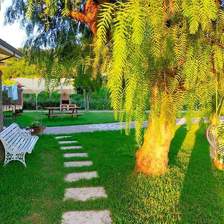 Al Boschetto Bed and Breakfast Melizzano Buitenkant foto
