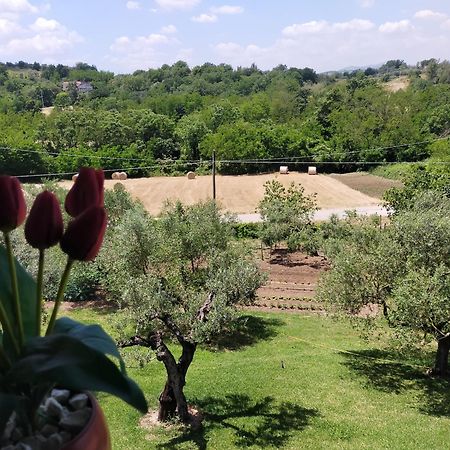 Al Boschetto Bed and Breakfast Melizzano Buitenkant foto