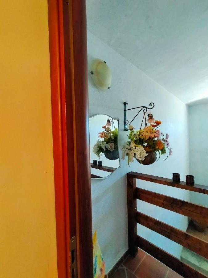 Al Boschetto Bed and Breakfast Melizzano Buitenkant foto