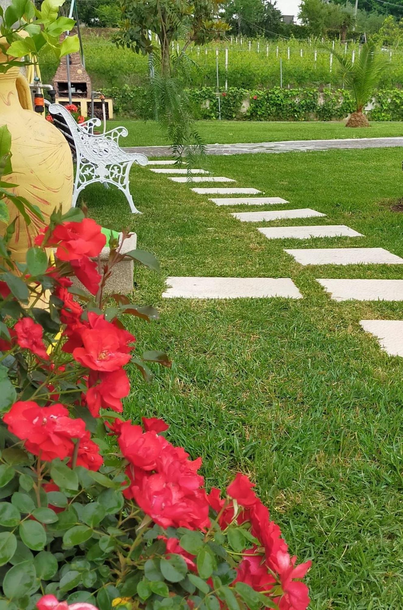 Al Boschetto Bed and Breakfast Melizzano Buitenkant foto