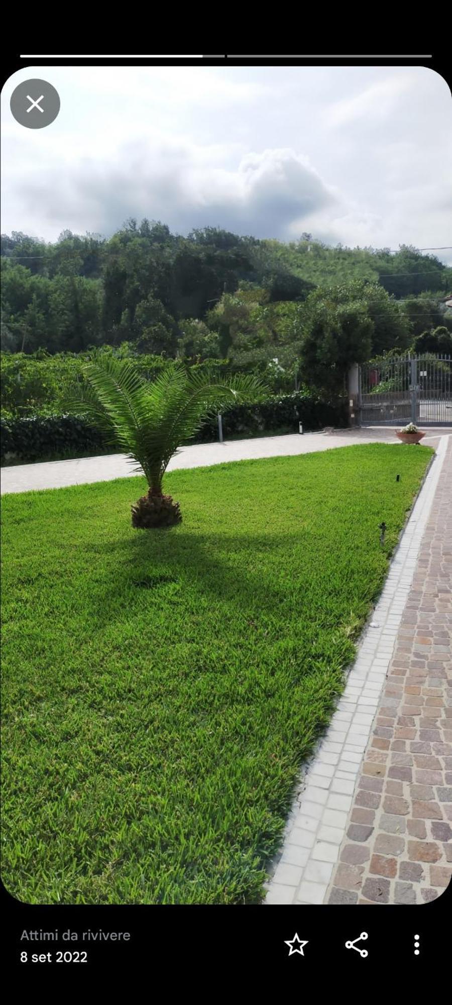 Al Boschetto Bed and Breakfast Melizzano Buitenkant foto