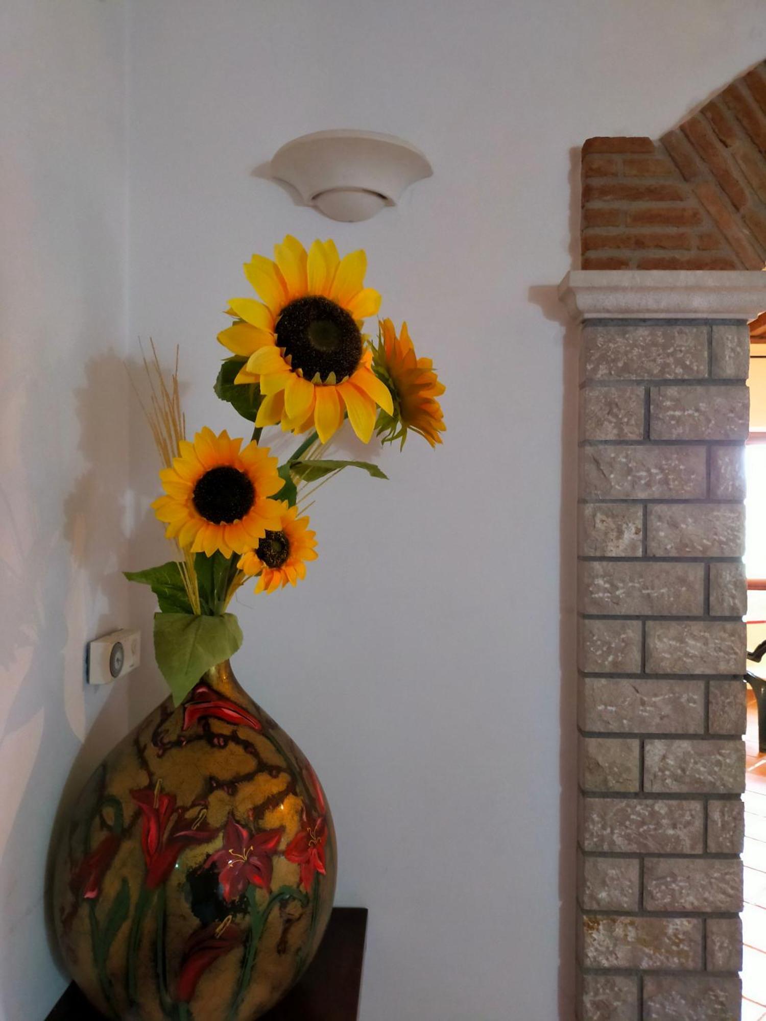 Al Boschetto Bed and Breakfast Melizzano Buitenkant foto