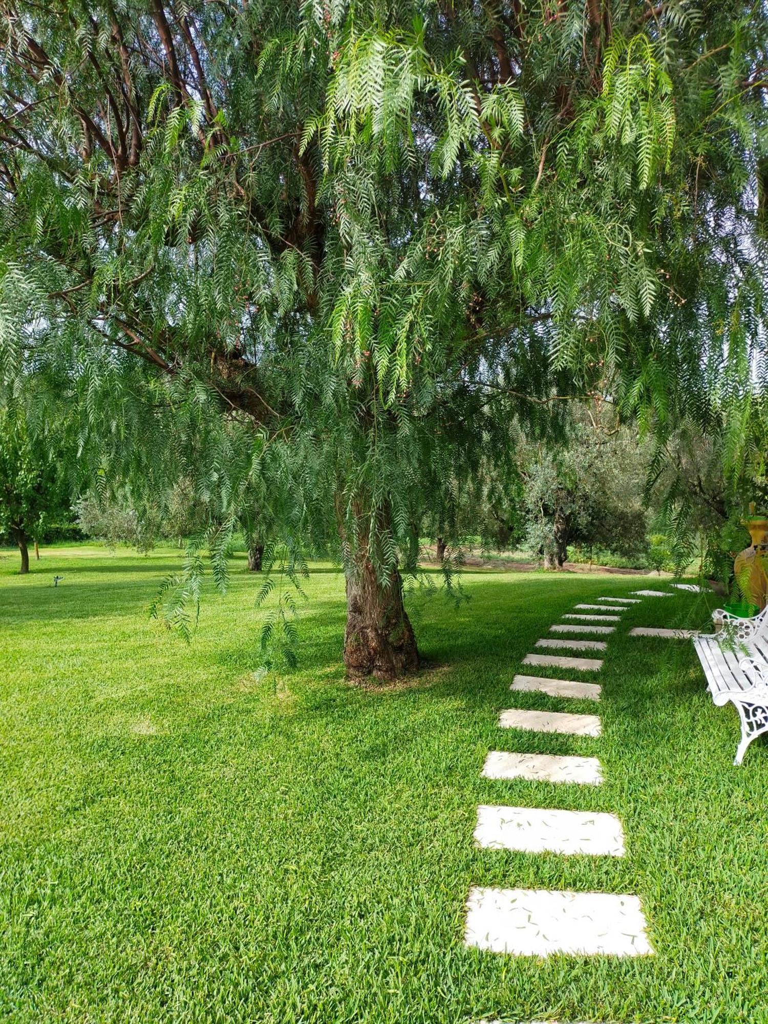 Al Boschetto Bed and Breakfast Melizzano Buitenkant foto