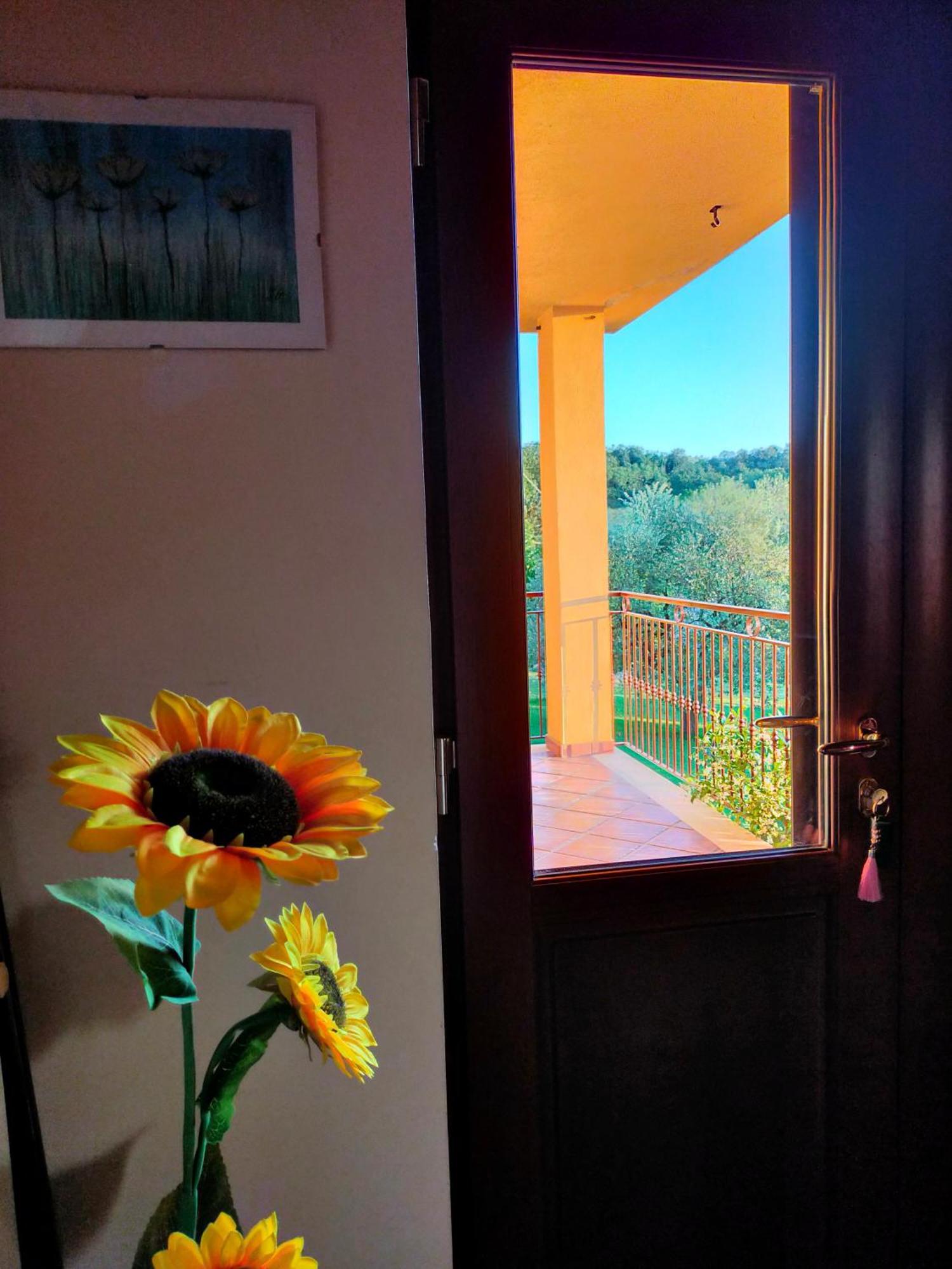 Al Boschetto Bed and Breakfast Melizzano Buitenkant foto